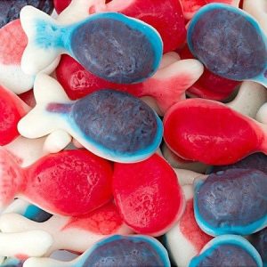 Bulk - Vidal - Jelly Filled Gummy Whales