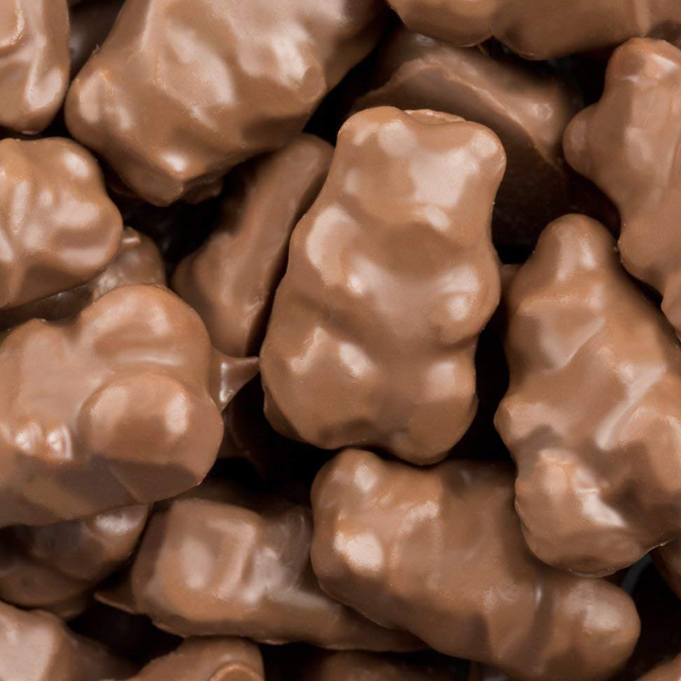 BULK -  Milk Chocolate Gummi Bears