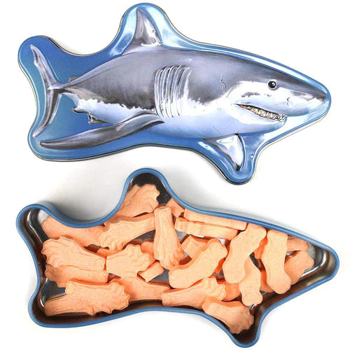 Boston America - Maneater Shark Tin